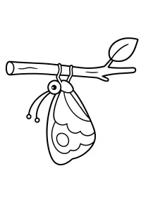 Farfalla appesa al ramoscello disegno da colorare PDF gratis