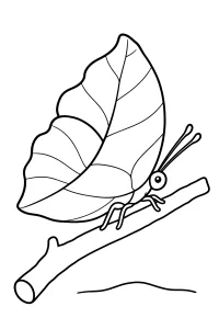 Farfalla foglia su un rametto disegno da colorare PDF gratis