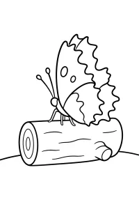 Farfalla dalle ali frastagliate sul tronchetto disegno da colorare PDF gratis
