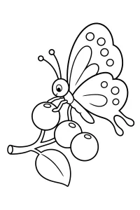 Mariposa en una rama con bayas dibujo para colorear PDF gratis