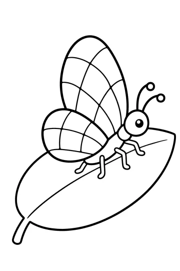 Schmetterling mit gemusterten Flügeln auf einem großen Blatt