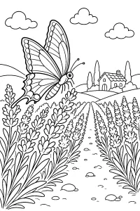 Vlinder in een lavendelveld kleurplaat gratis PDF