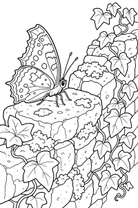Papillon sur pierres et lierre dessin à colorier PDF gratuit