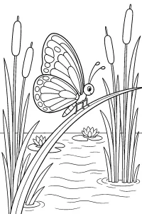 Papillon sur un roseau dans le marais dessin à colorier PDF gratuit