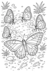 Farfalle intorno a una pozza di fango disegno da colorare PDF gratis