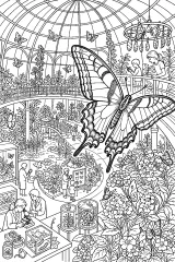 Farfalla nel conservatorio delle farfalle disegno da colorare PDF gratis
