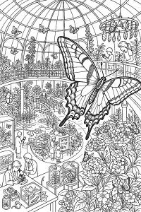 Farfalla nel conservatorio delle farfalle disegno da colorare PDF gratis