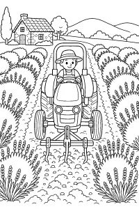 Trattore tra i filari di lavanda disegno da colorare PDF gratis