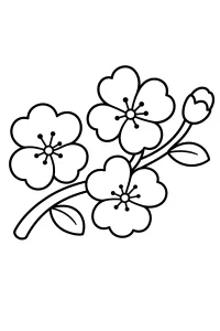 Branche de cerisier en fleurs dessin à colorier PDF gratuit