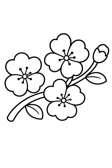 Ausmalbild eines geschwungenen Kirschzweigs mit großen fünfblättrigen Blüten, Blättern und einer Knospe