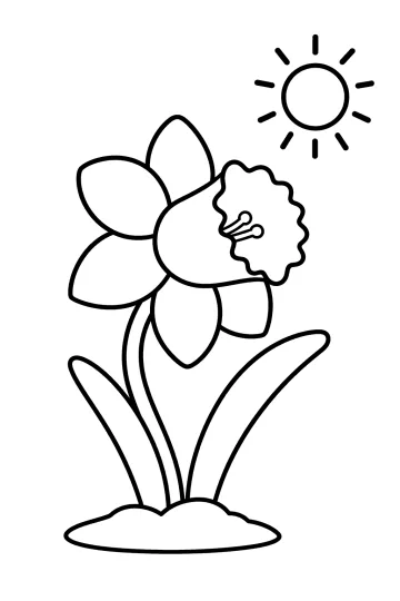 Coloring page drawing of a daffodil with a wavy trumpet, long leaves, sun, and small soil mound