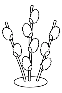 Branches de saule avec chatons dessin à colorier PDF gratuit