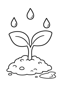 Brotinho na chuva desenho para colorir PDF grátis