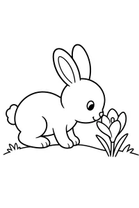 Coniglietto che annusa un croco disegno da colorare PDF gratis