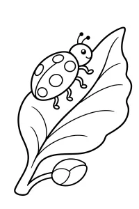 Coccinella su una foglia con bocciolo disegno da colorare PDF gratis