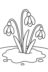 Tre bucaneve nella neve che si scioglie disegno da colorare PDF gratis