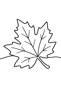 Foglia d'acero autunnale disegno da colorare PDF gratis