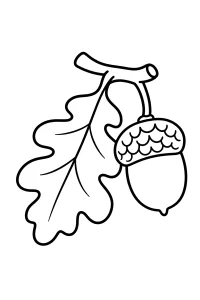Foglia di quercia e ghianda disegno da colorare PDF gratis