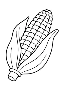 Corn Cob with Open Husks coloring page free PDF