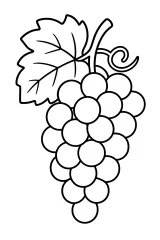 Grappolo d'uva e foglia di vite disegno da colorare PDF gratis
