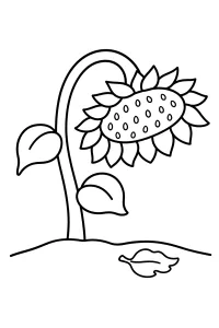 Girasole piegato con foglia caduta disegno da colorare PDF gratis