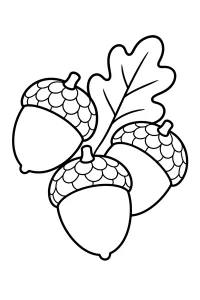 Drei Eicheln mit Eichenblatt malvorlage kostenlos PDF
