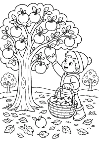 Bambina che raccoglie mele dall'albero disegno da colorare PDF gratis