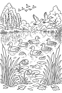 Anatre nello stagno d'autunno disegno da colorare PDF gratis