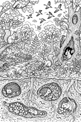 Il bosco d’autunno e gli animali che si preparano disegno da colorare PDF gratis