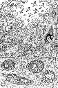 Il bosco d’autunno e gli animali che si preparano disegno da colorare PDF gratis
