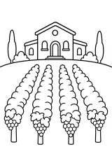 Villa con filari di viti disegno da colorare PDF gratis