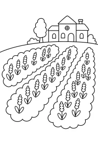 Domaine aux champs de lavande dessin à colorier PDF gratuit