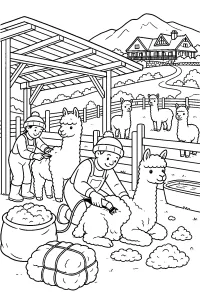 Alpaca's scheren op een bergboerderij kleurplaat gratis PDF