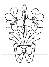 Amarillide natalizia con grande fiocco disegno da colorare PDF gratis