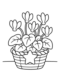 Ciclamino natalizio nel cestino con stella disegno da colorare PDF gratis